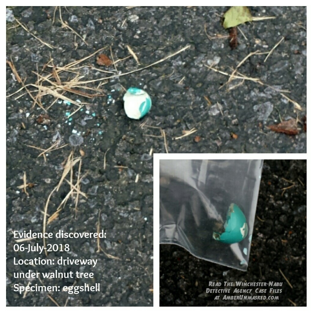 070618 eggshell