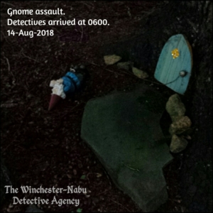 gnome