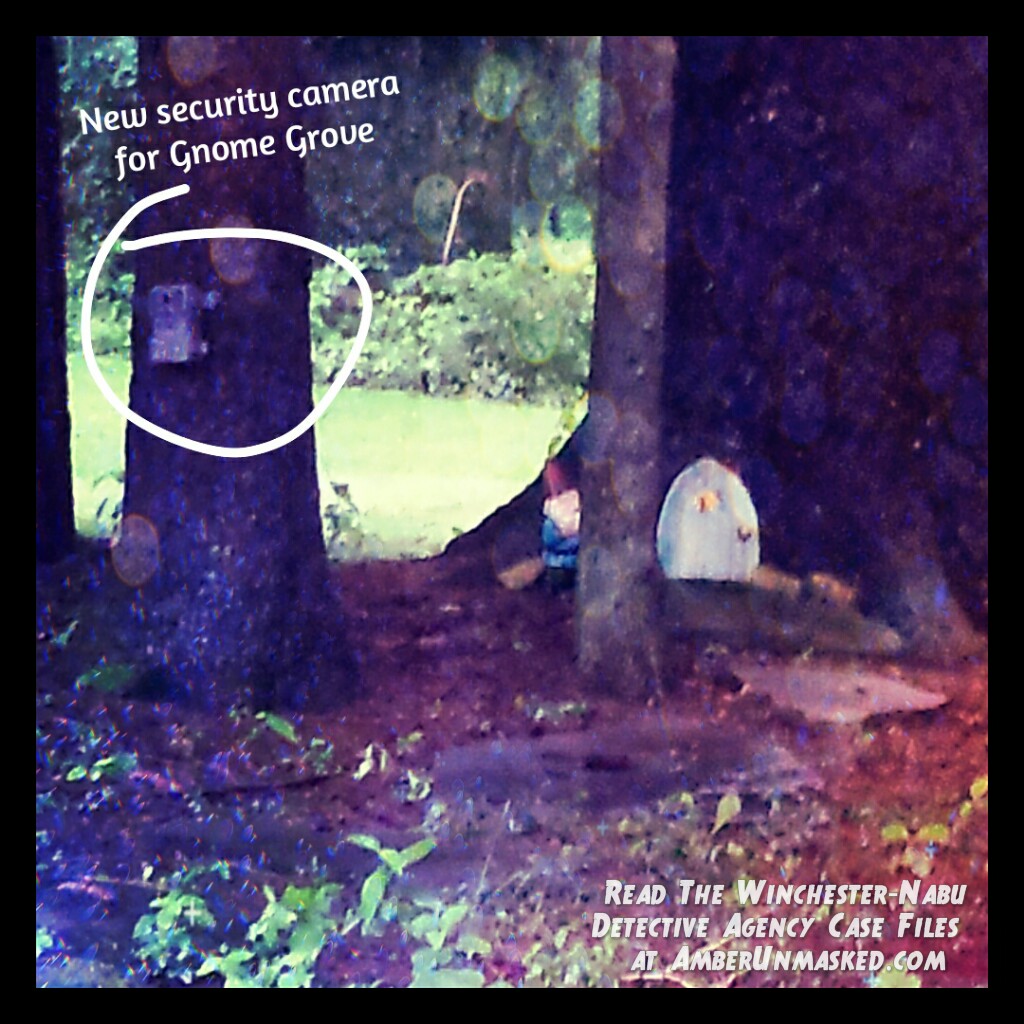 20180822_GnomeSecurity1