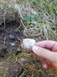 quartz