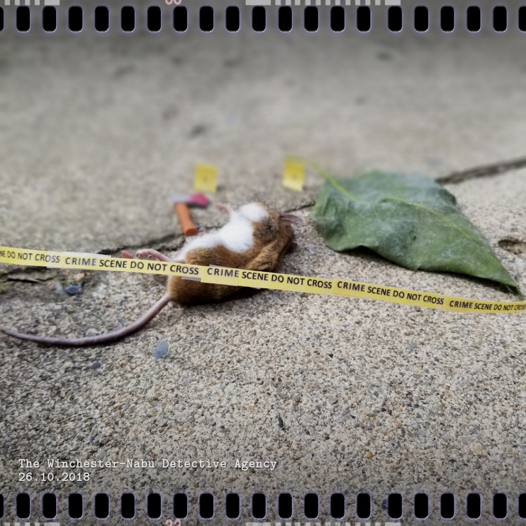 20181026_MouseScene1