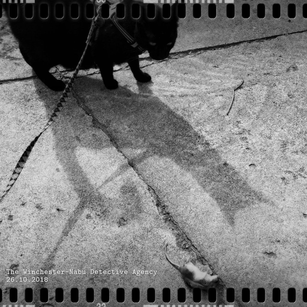 20181026_MouseScene4