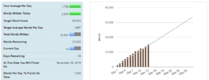 nanowrimo