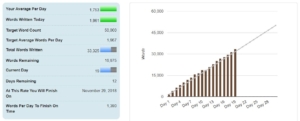 nanowrimo