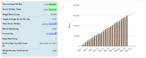 nanowrimo