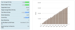 nanowrimo