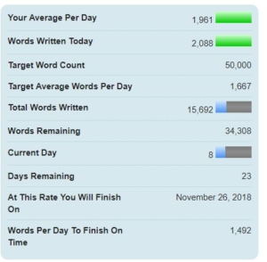 nanowrimo 