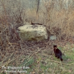 Gus at the boulder