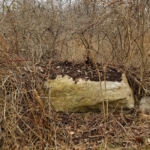 the boulder progress