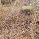 clearing boulder