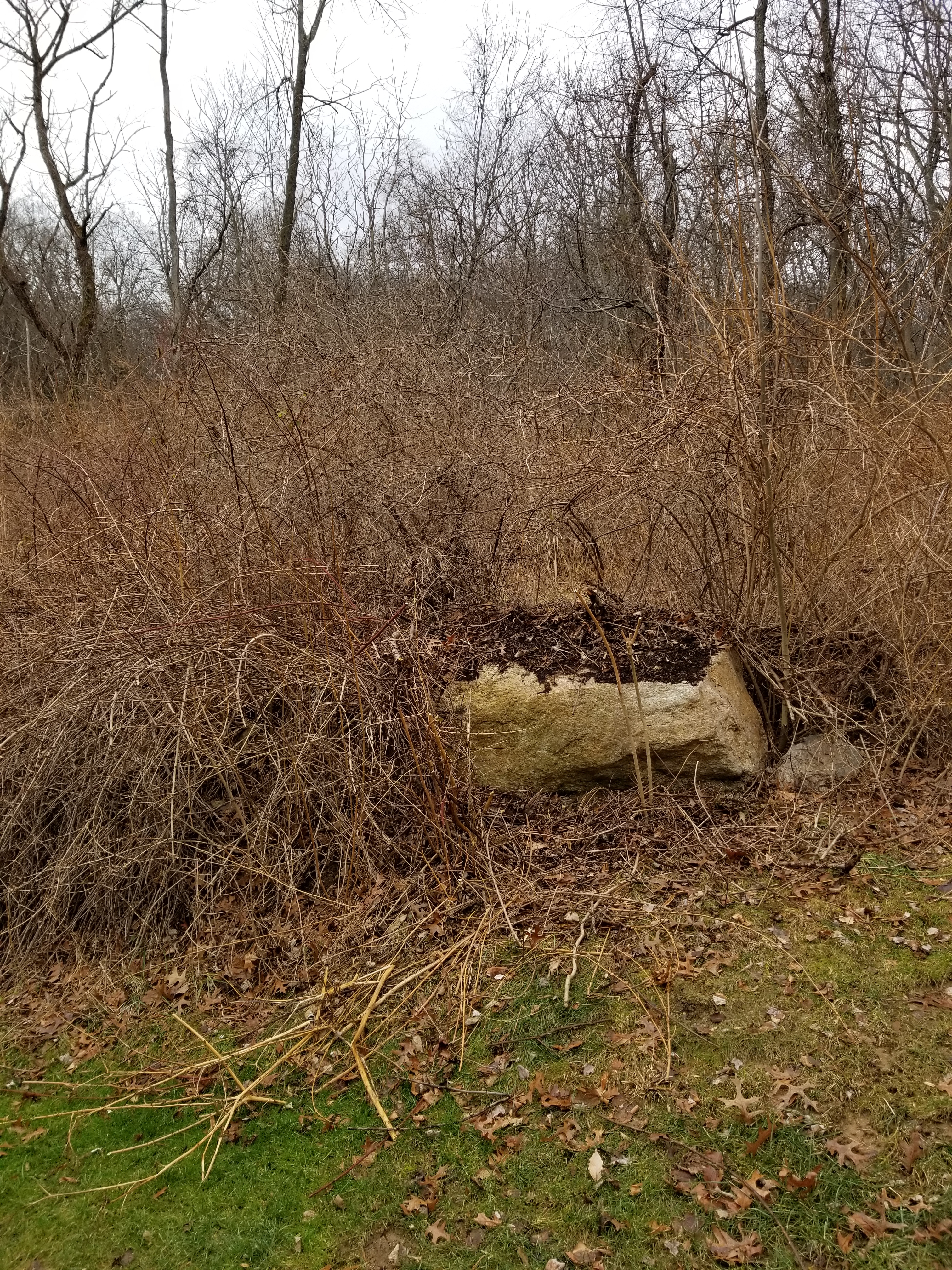 winter rock project (5)