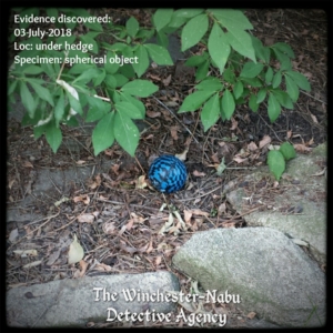 blue and black ball