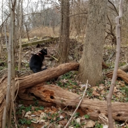 Gus at the pit