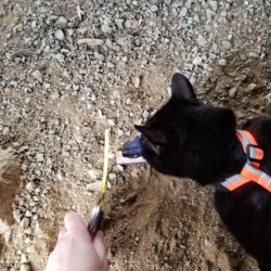 Gus examining ceramic