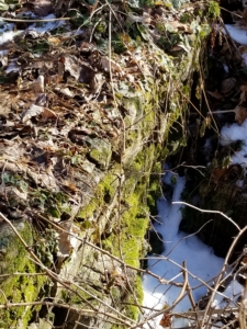 The side of the pit with stonework.