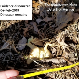 dinosaur