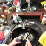 cleaning dinosaur