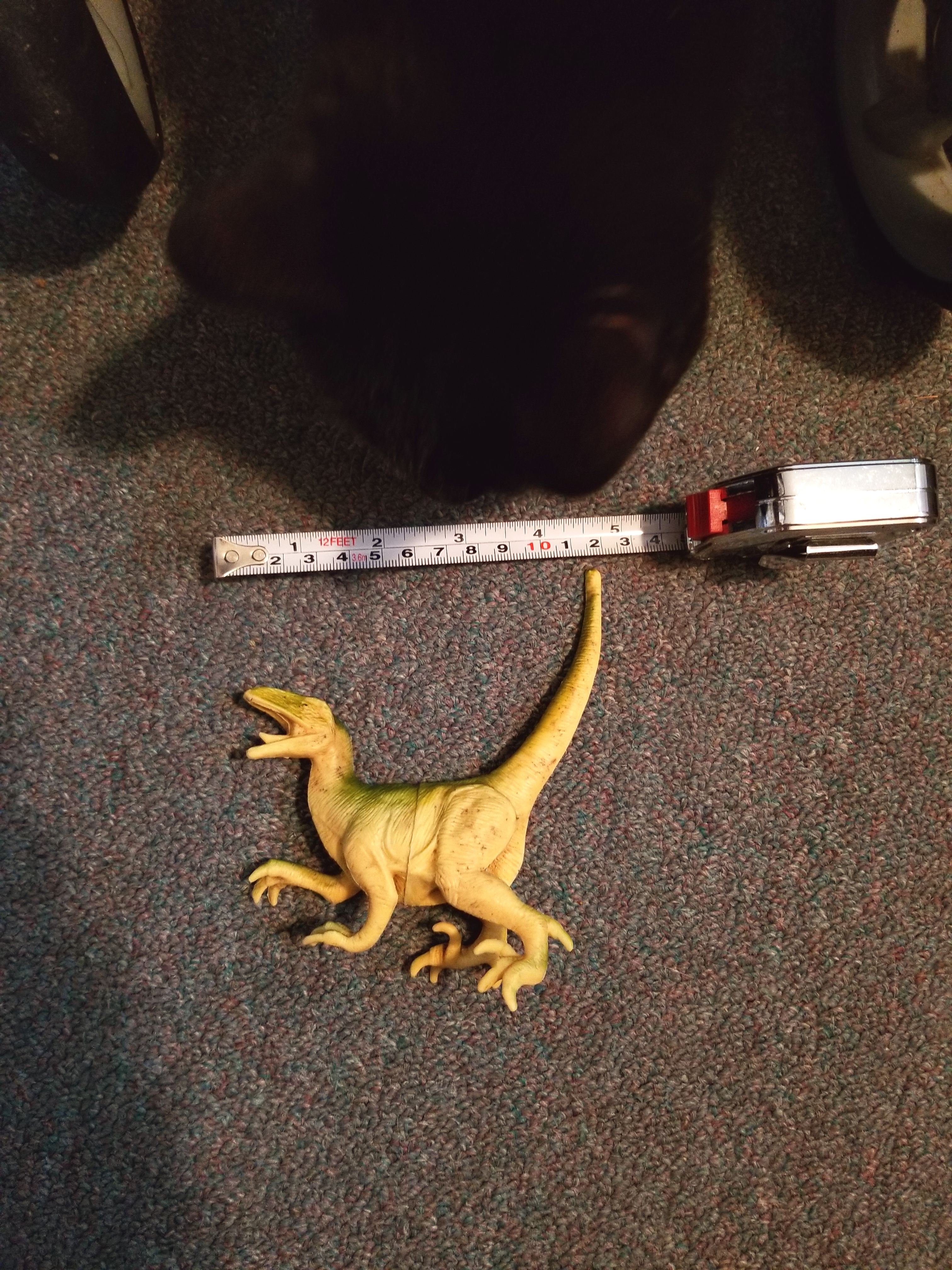 20190206_dinosaur (15)