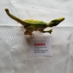 dinosaur