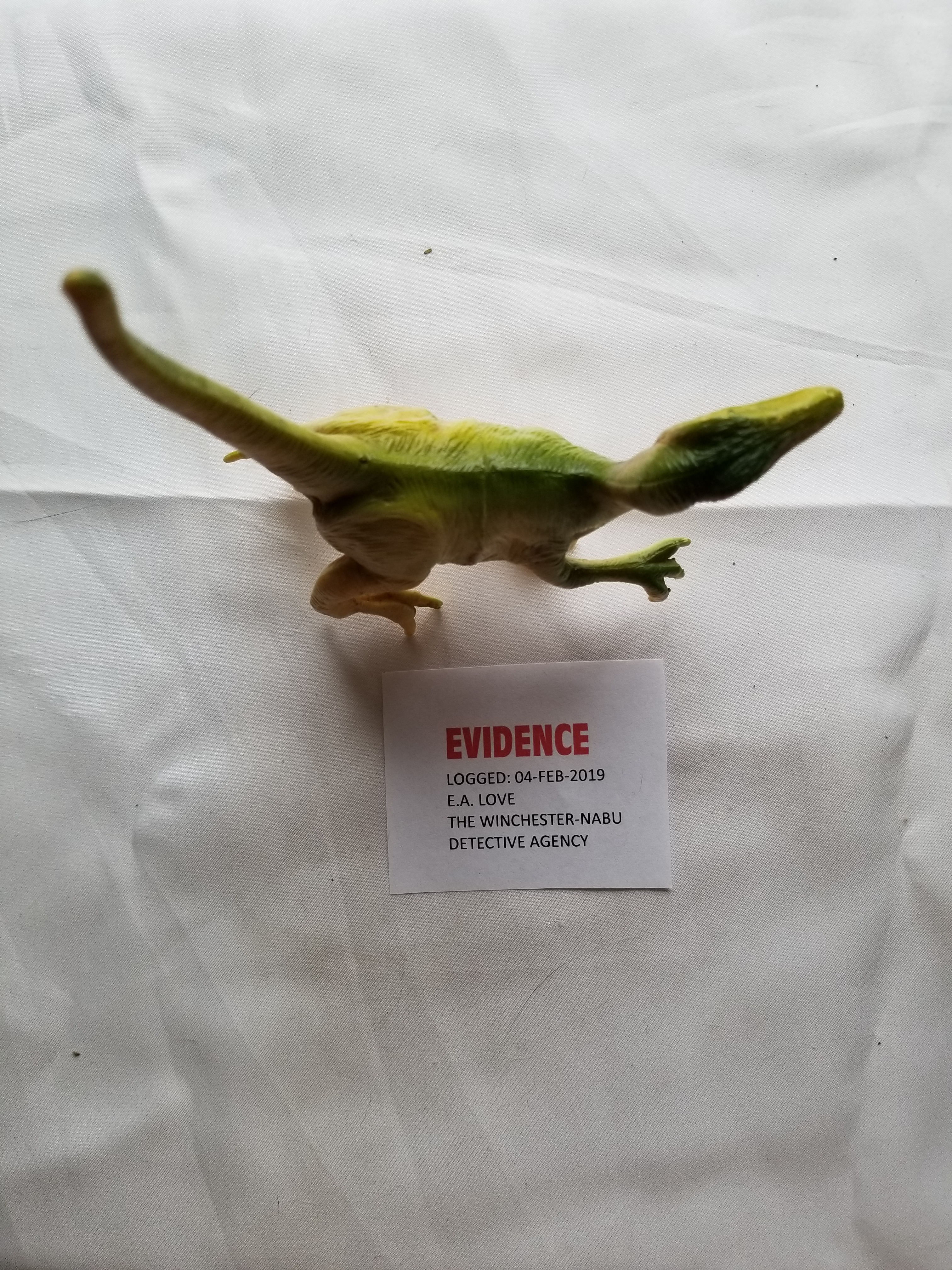 20190206_dinosaur (7)