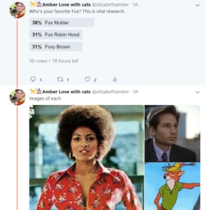 twitter poll