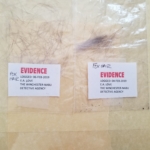 hairs in baggies