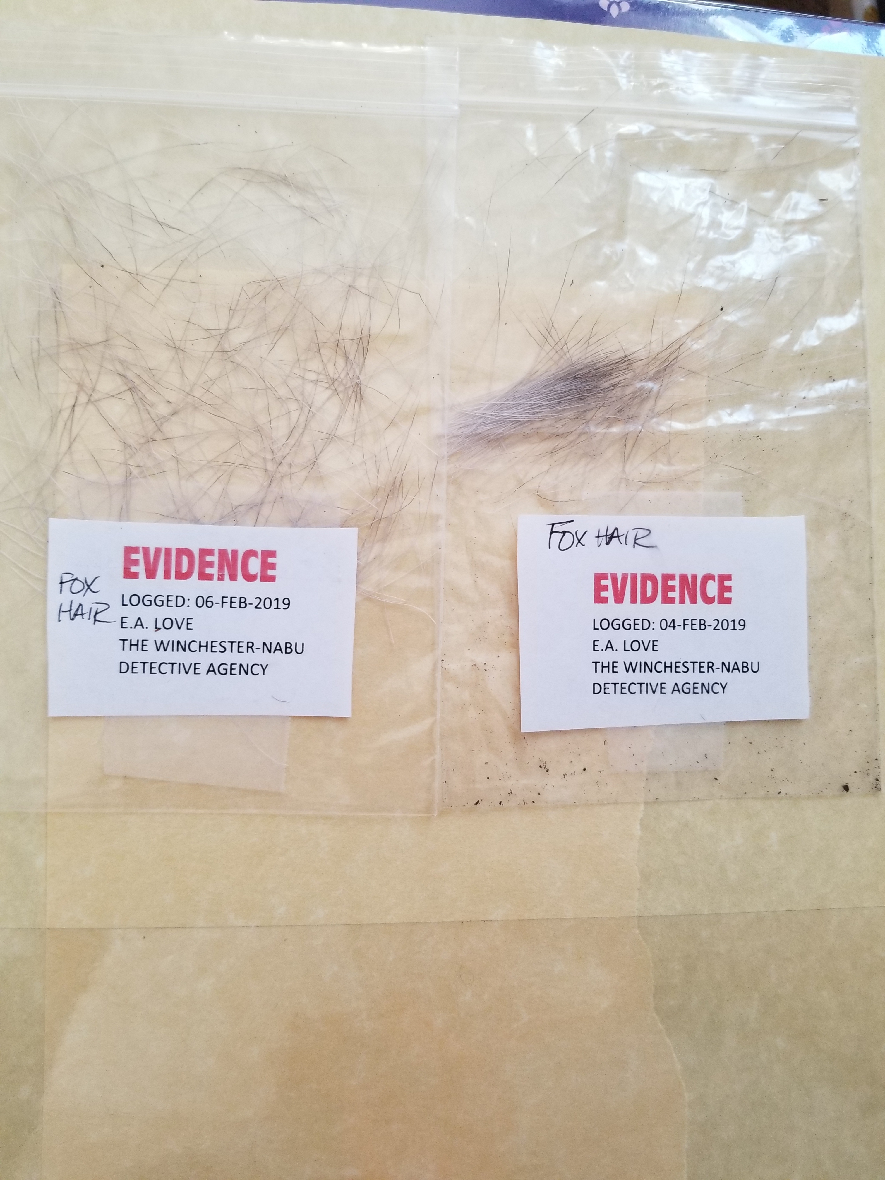 evidence hair comparisons (1)