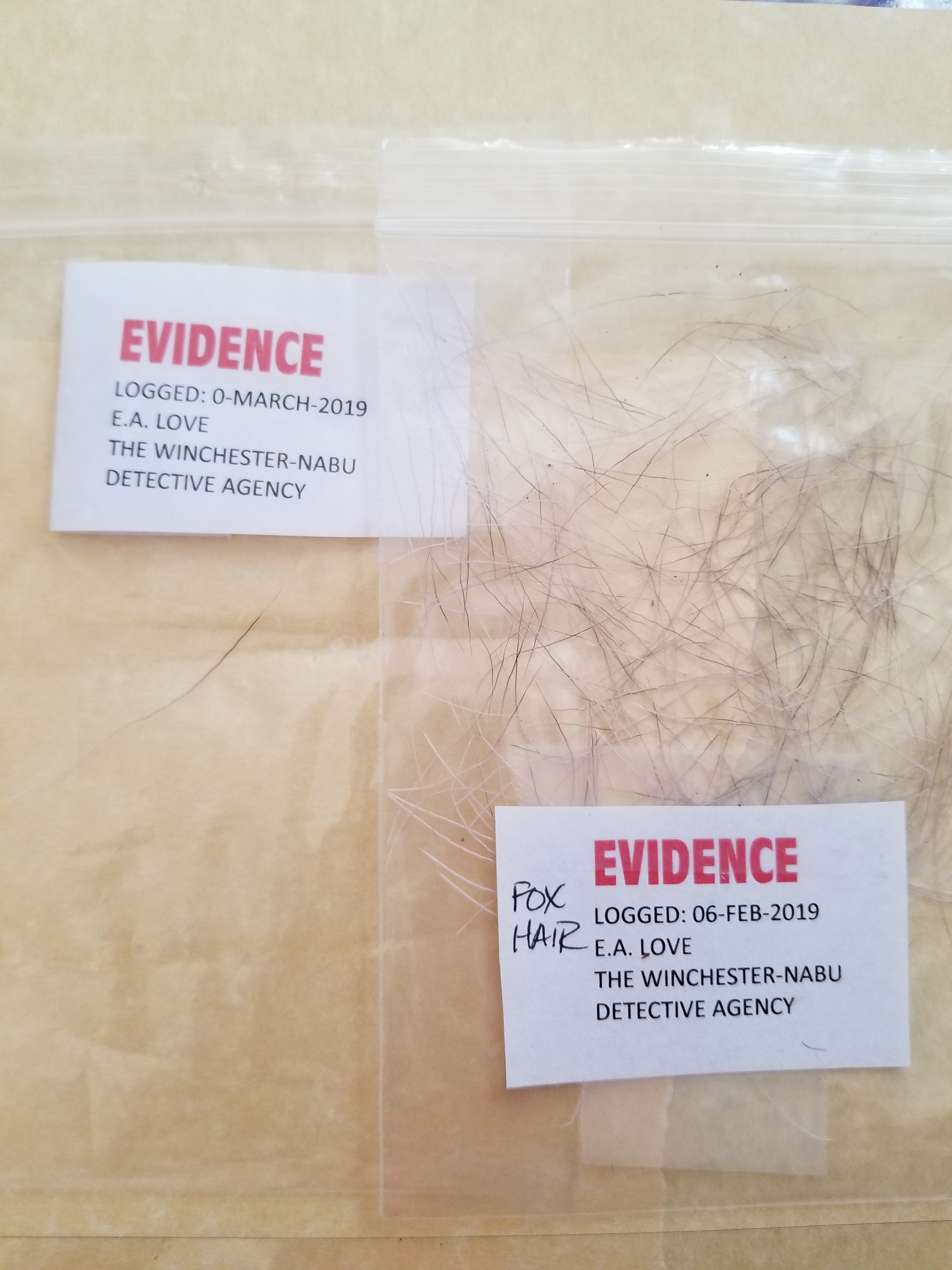 evidence hair comparisons (2)
