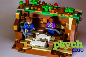 psych lego