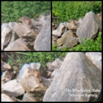 Cheeks Moretti chipmunk collage