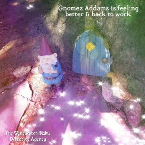 gnome