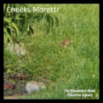 Cheeks Moretti chipmunk