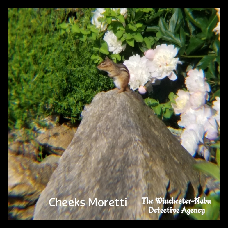 20190526 cheeks3_wm