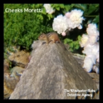 Cheeks Moretti chipmunk