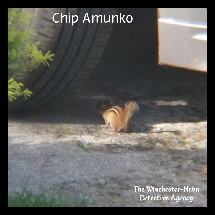 20190526_chipamunko_wm