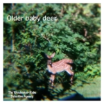 older baby deer