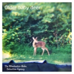 older baby deer