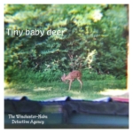 tiny baby deer