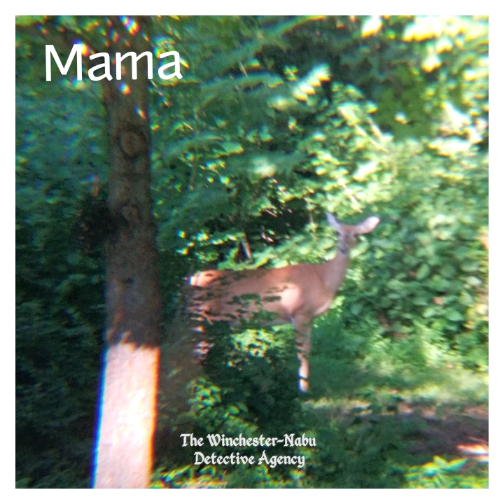 20190713_mamadeer2