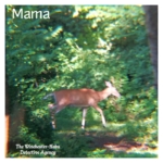 mama deer