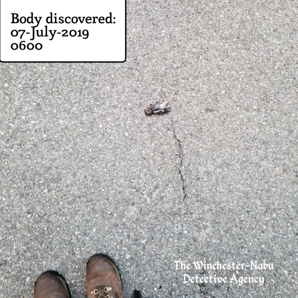 20190707_deadbirdevidence_wm
