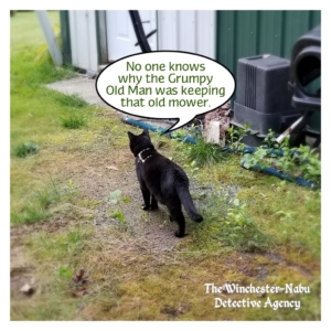 Gus investigating mower