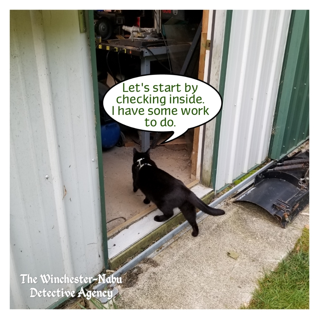 20190731 mower case 6