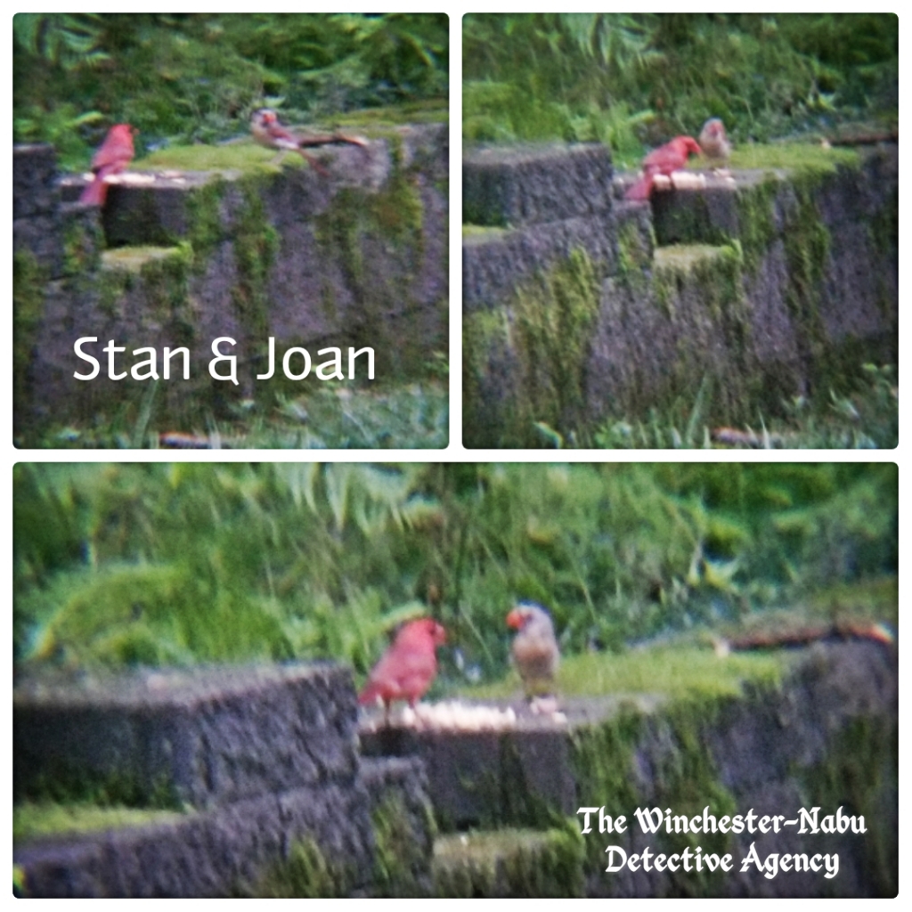 Stan and Joan cardinals