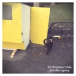 leaf catcher panther trap