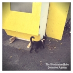 leaf catcher panther trap
