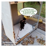 leaf catcher panther trap