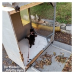 leaf catcher panther trap