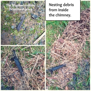 collage of chimney bird nest debris
