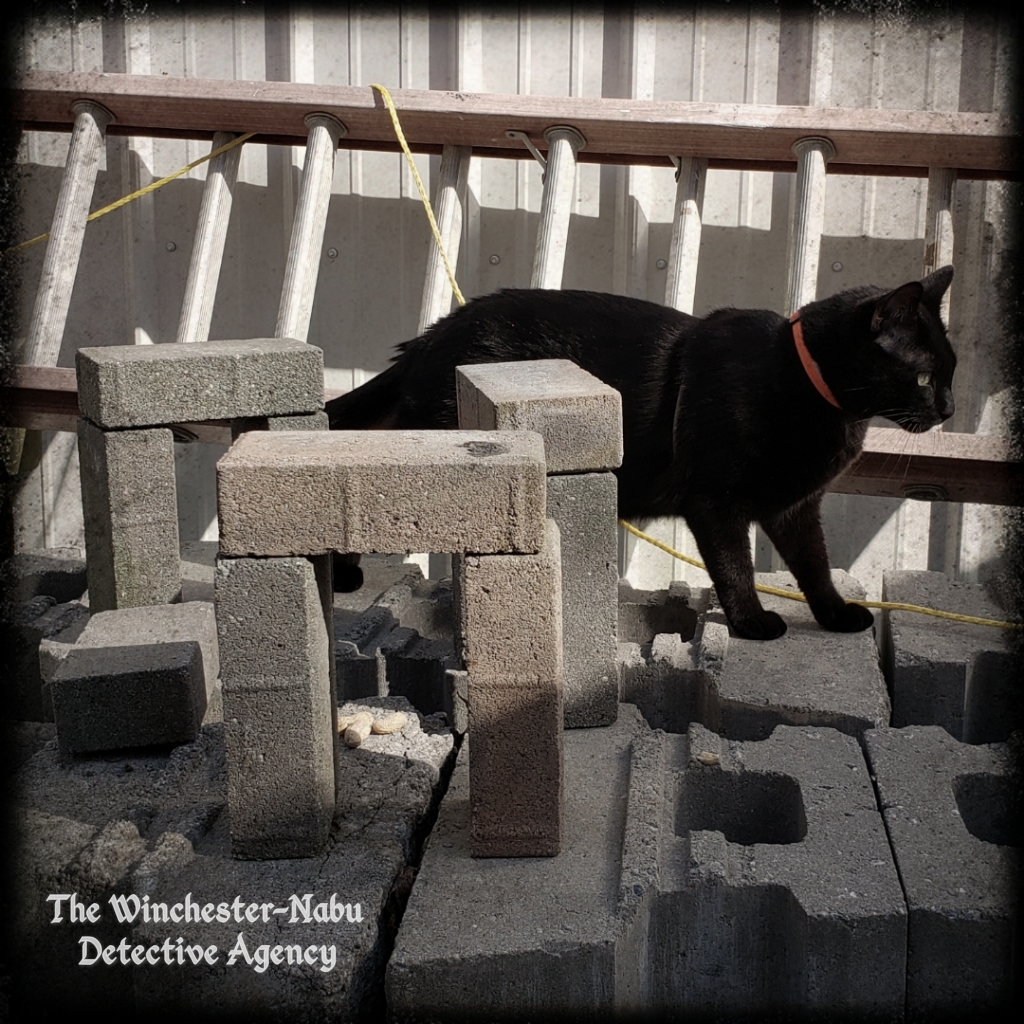20191104_Henge5